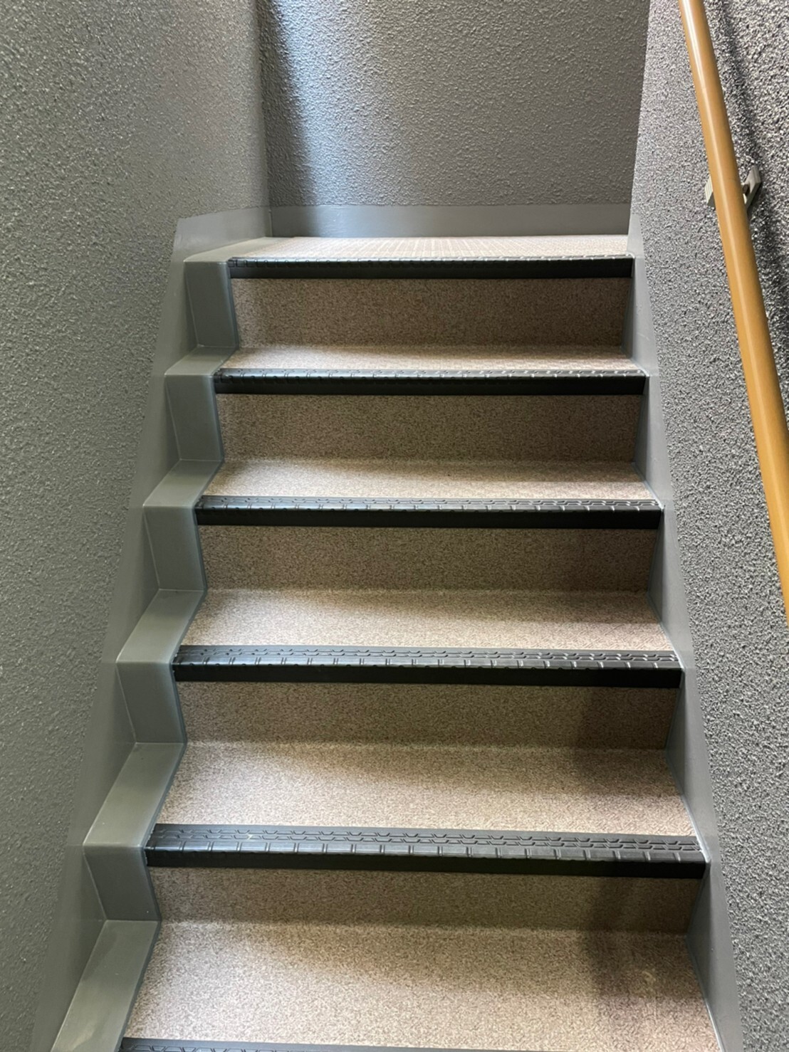 4753802046880271646.0a77934b0e484de6ecb4c9468b73cba0.22052412